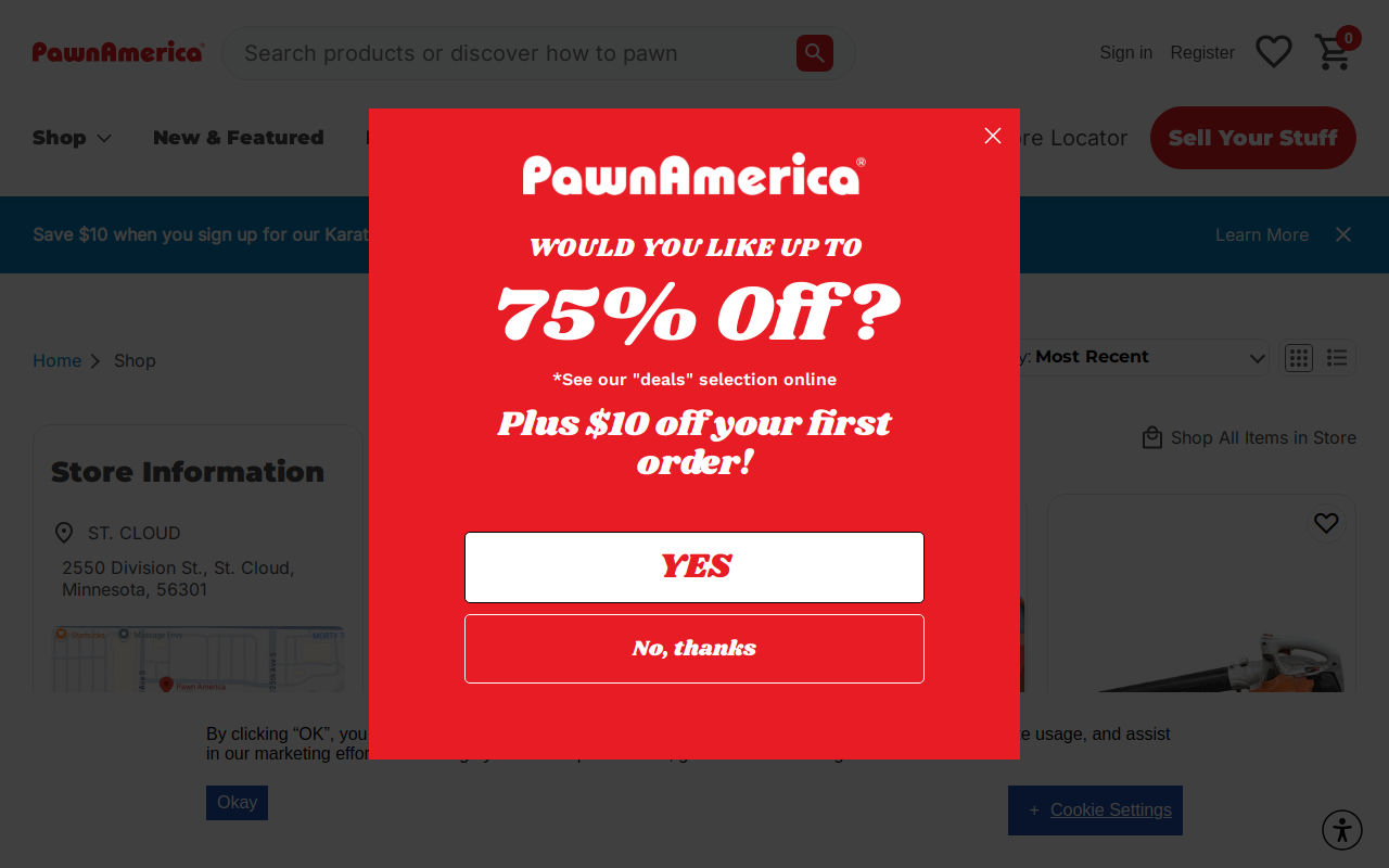 Pawn America website preview