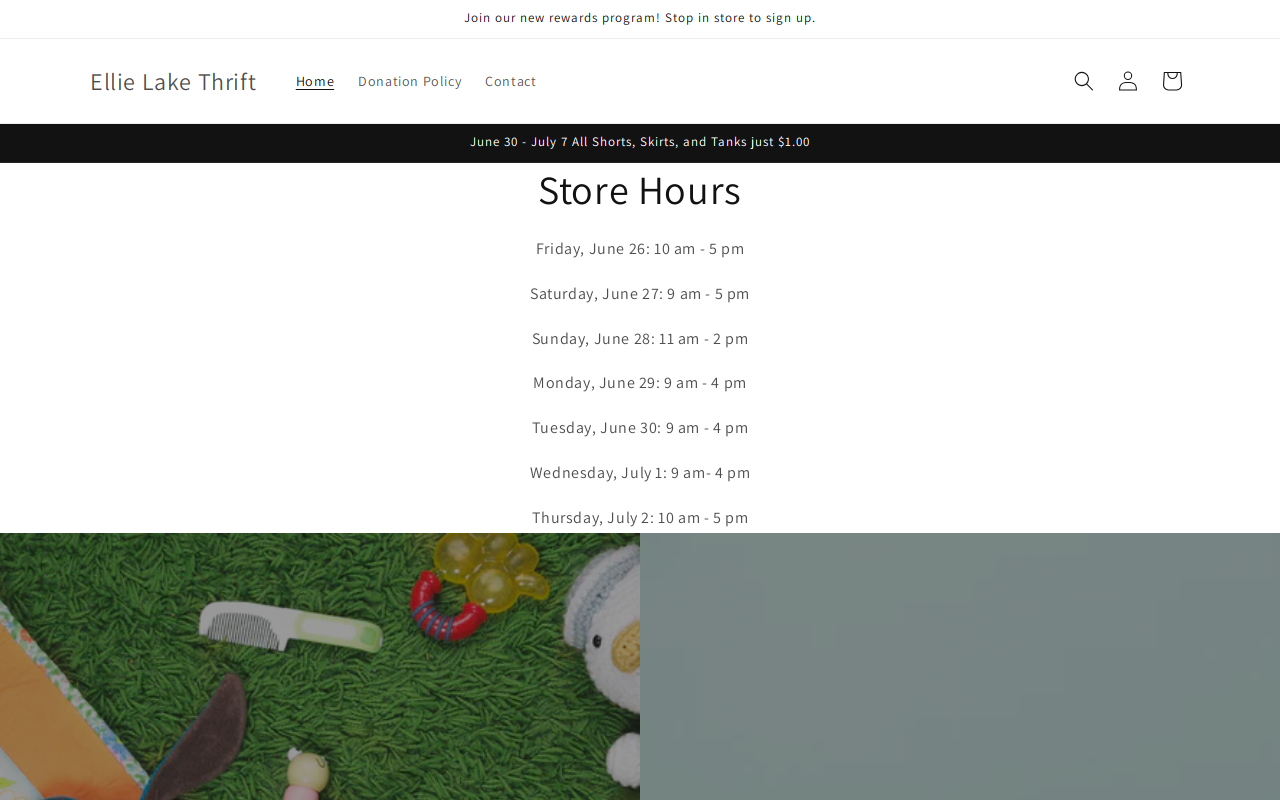 Ellie Lake Thrift website preview