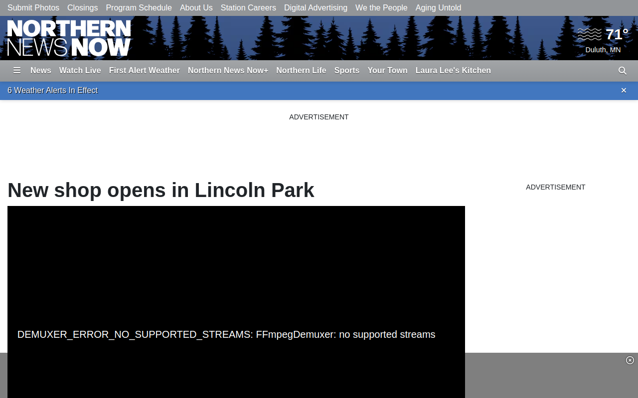 The Sleepy Sparrow website preview