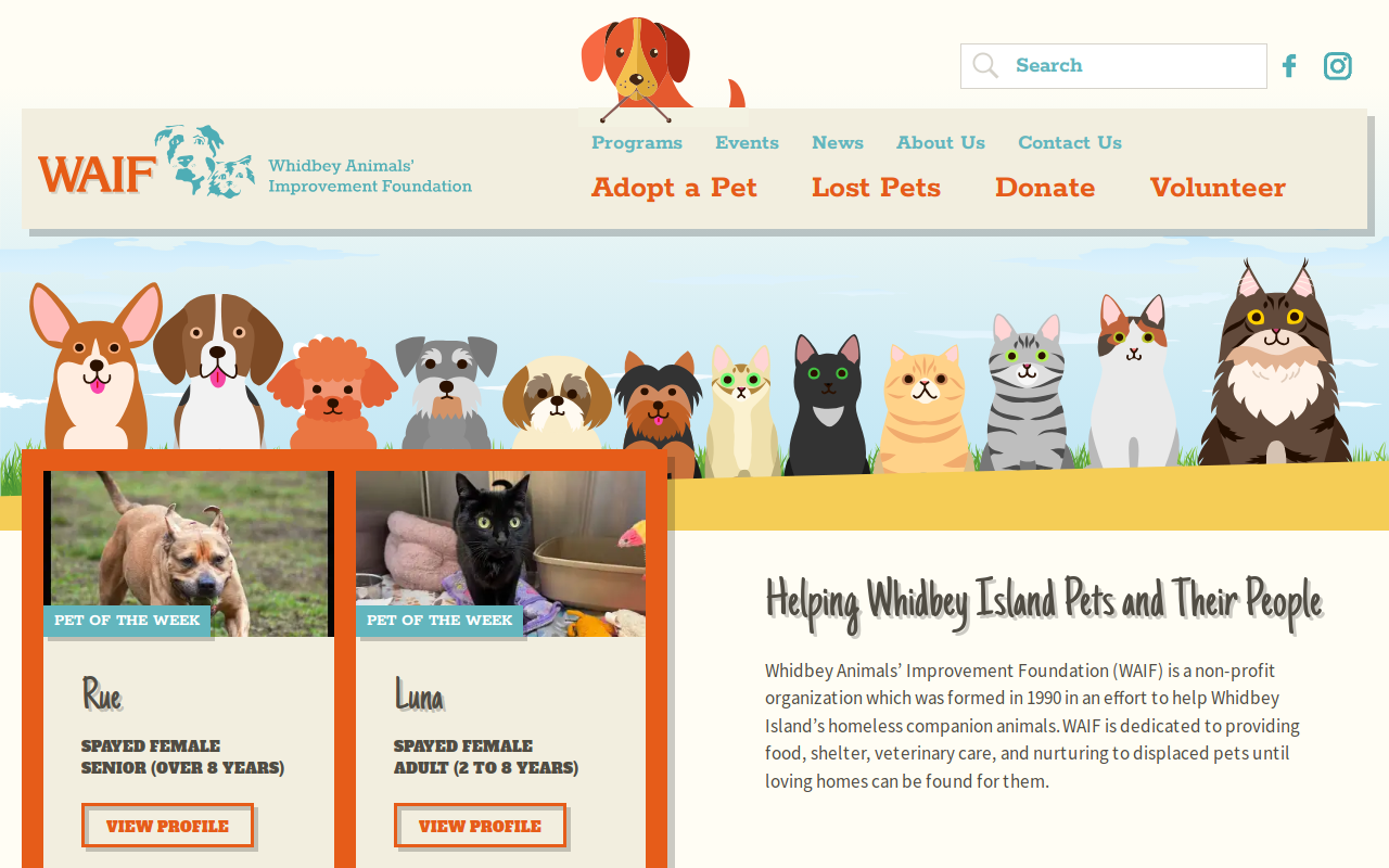 Waif Thrift Store website preview