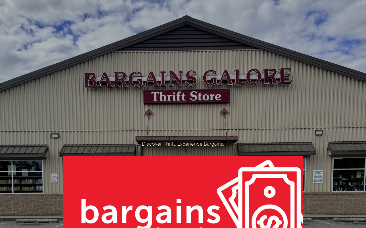 Bargains Galore Thrift Store website preview