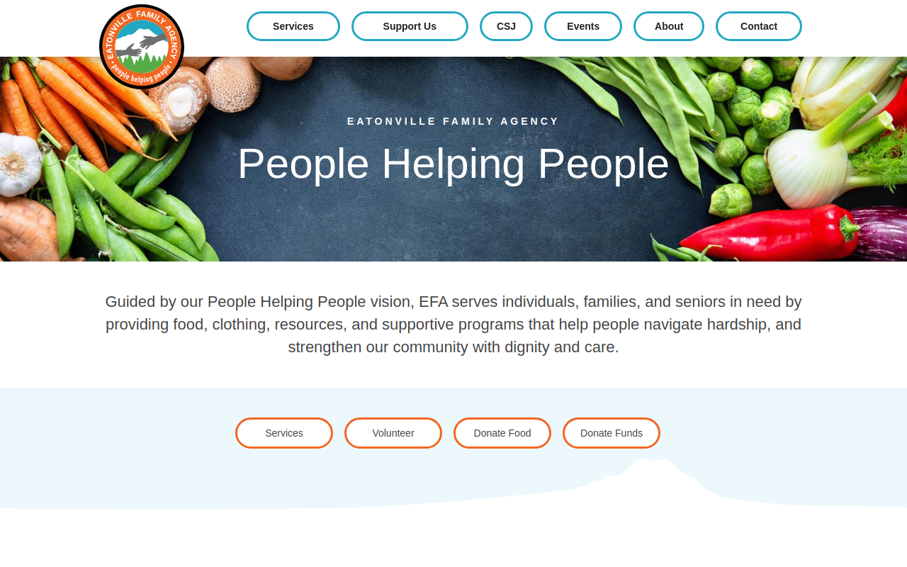 Center Street Junction website preview