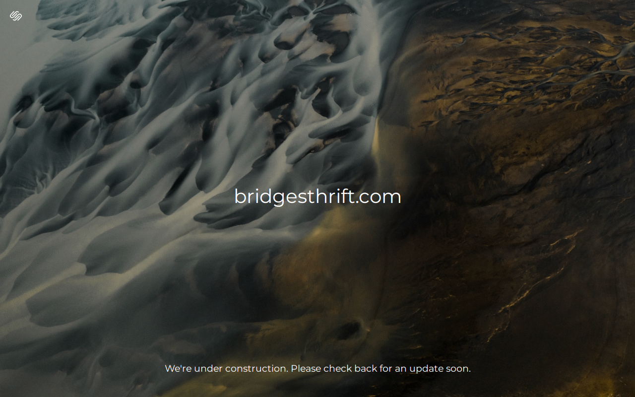 Bridges Thrift Store website preview