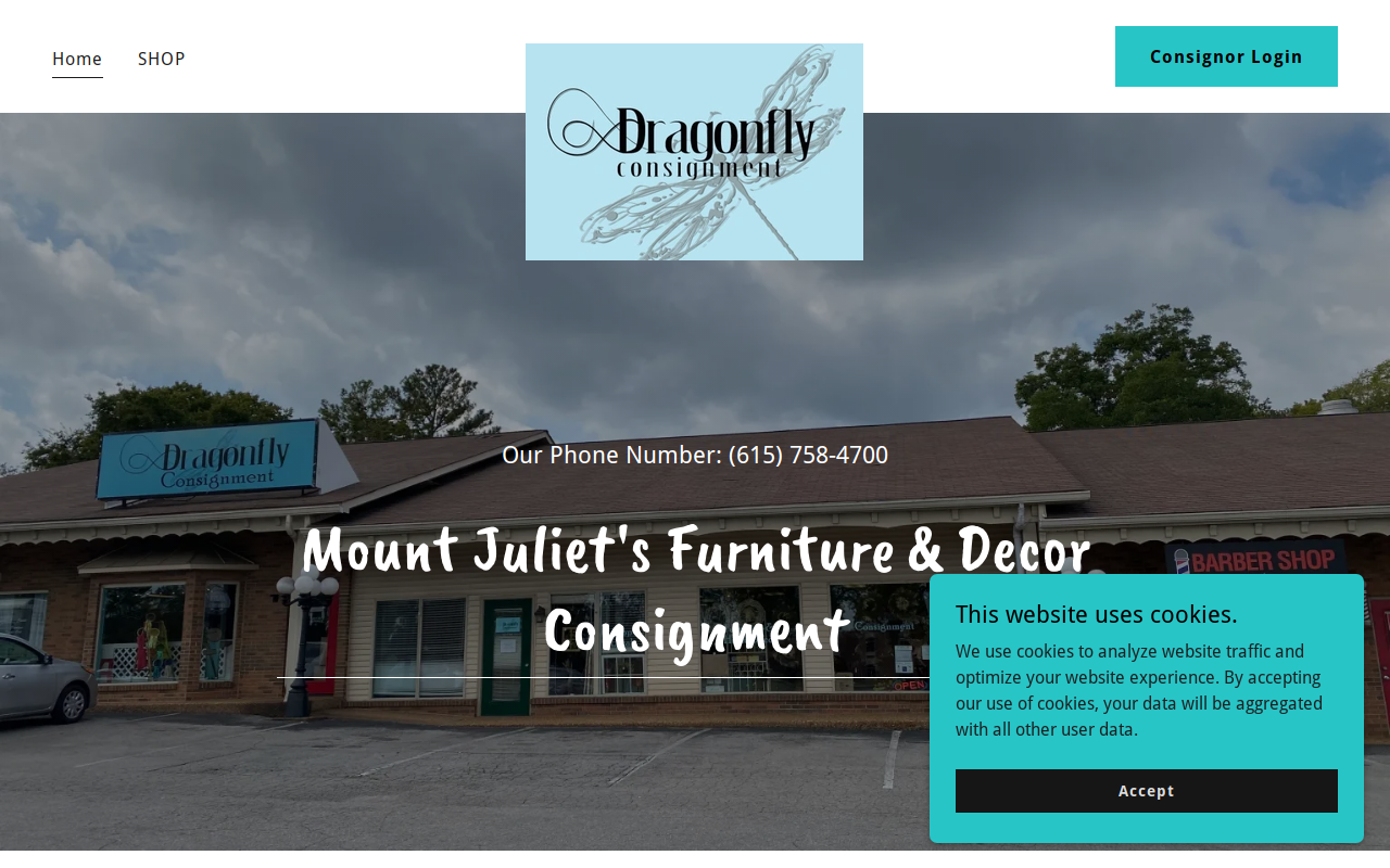 The Dragonfly Consignment Shop website preview