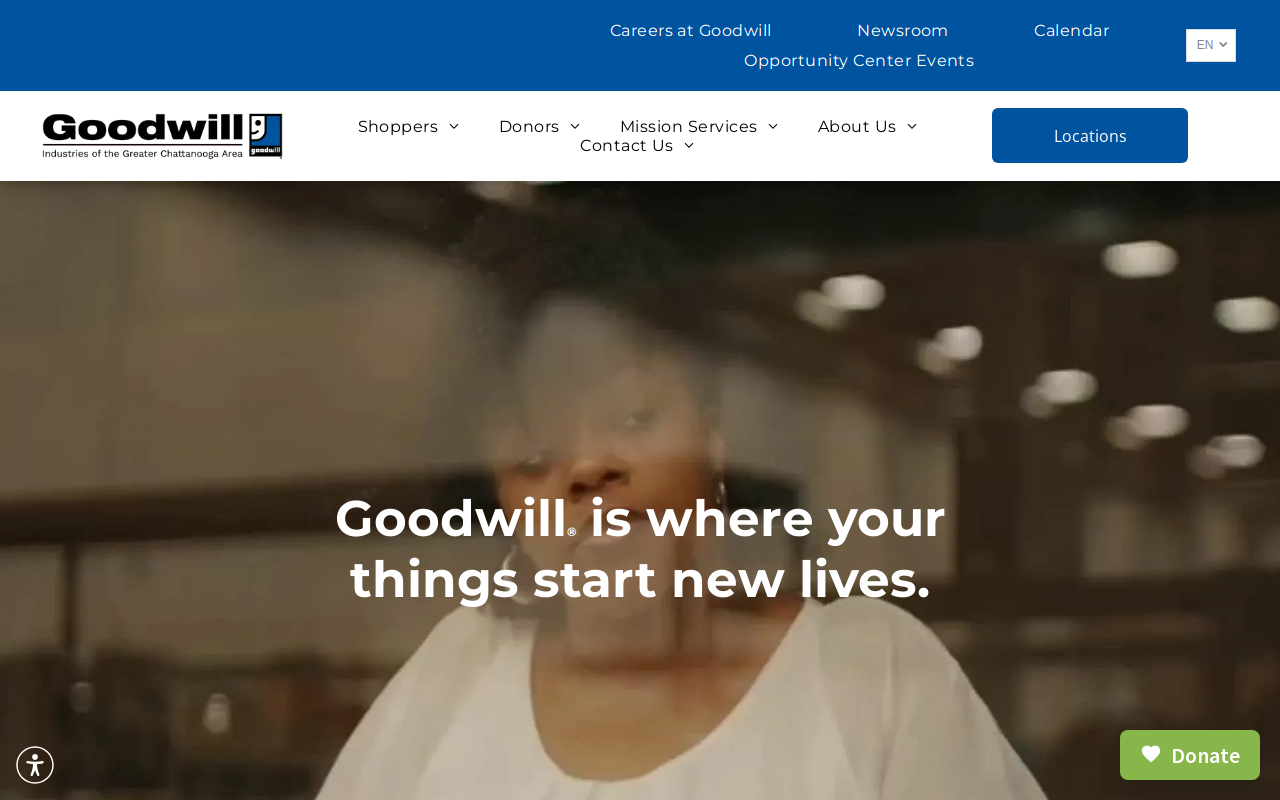 Goodwill website preview