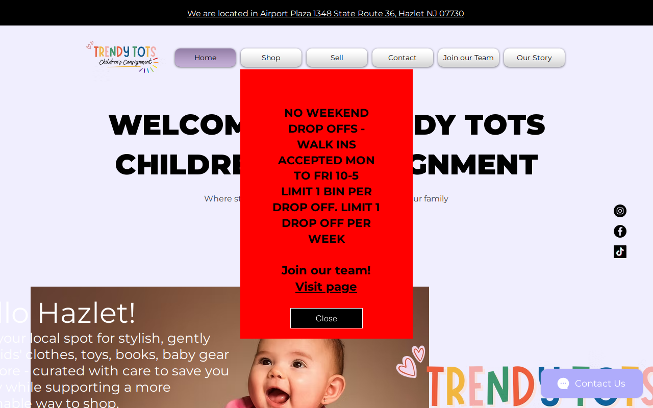 Trendy Tots Children's Consignment website preview