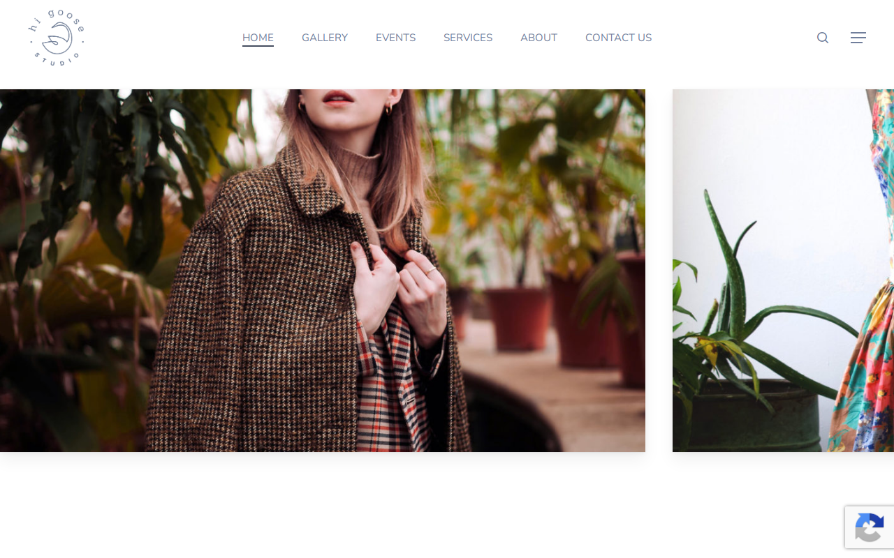 Hi Goose Studio - Vintage & Second Hand Clothing website preview