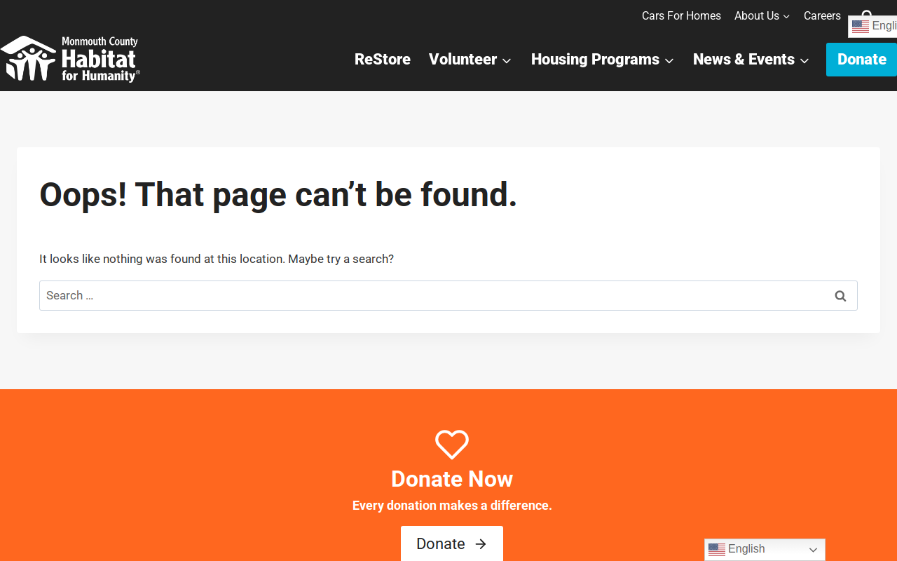 ReStore website preview