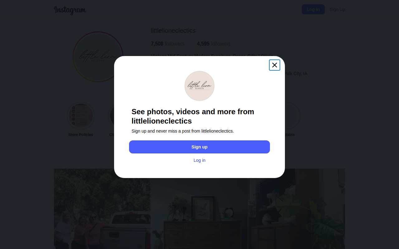 Little Lion Eclectics website preview
