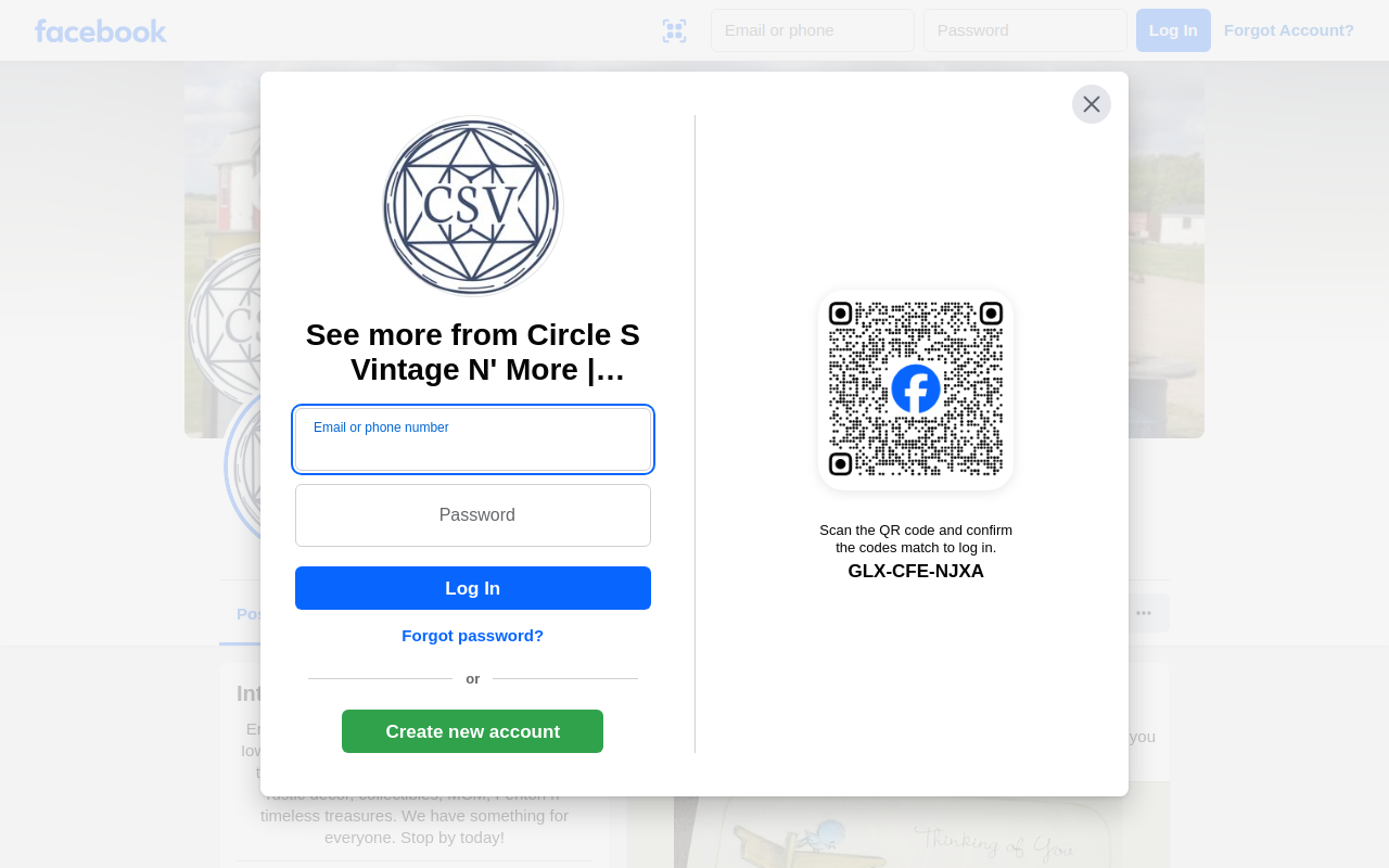 Circle S Vintage N' More website preview