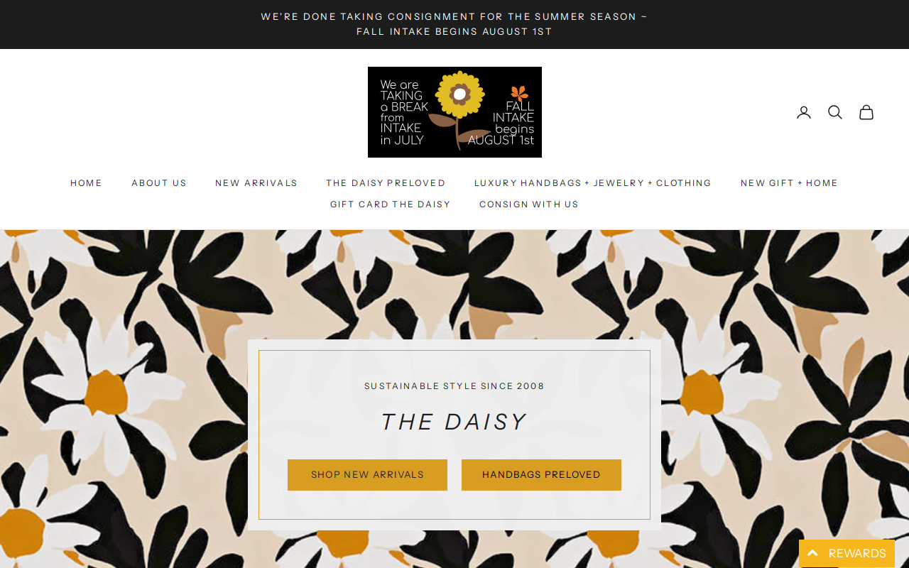 The Daisy website preview