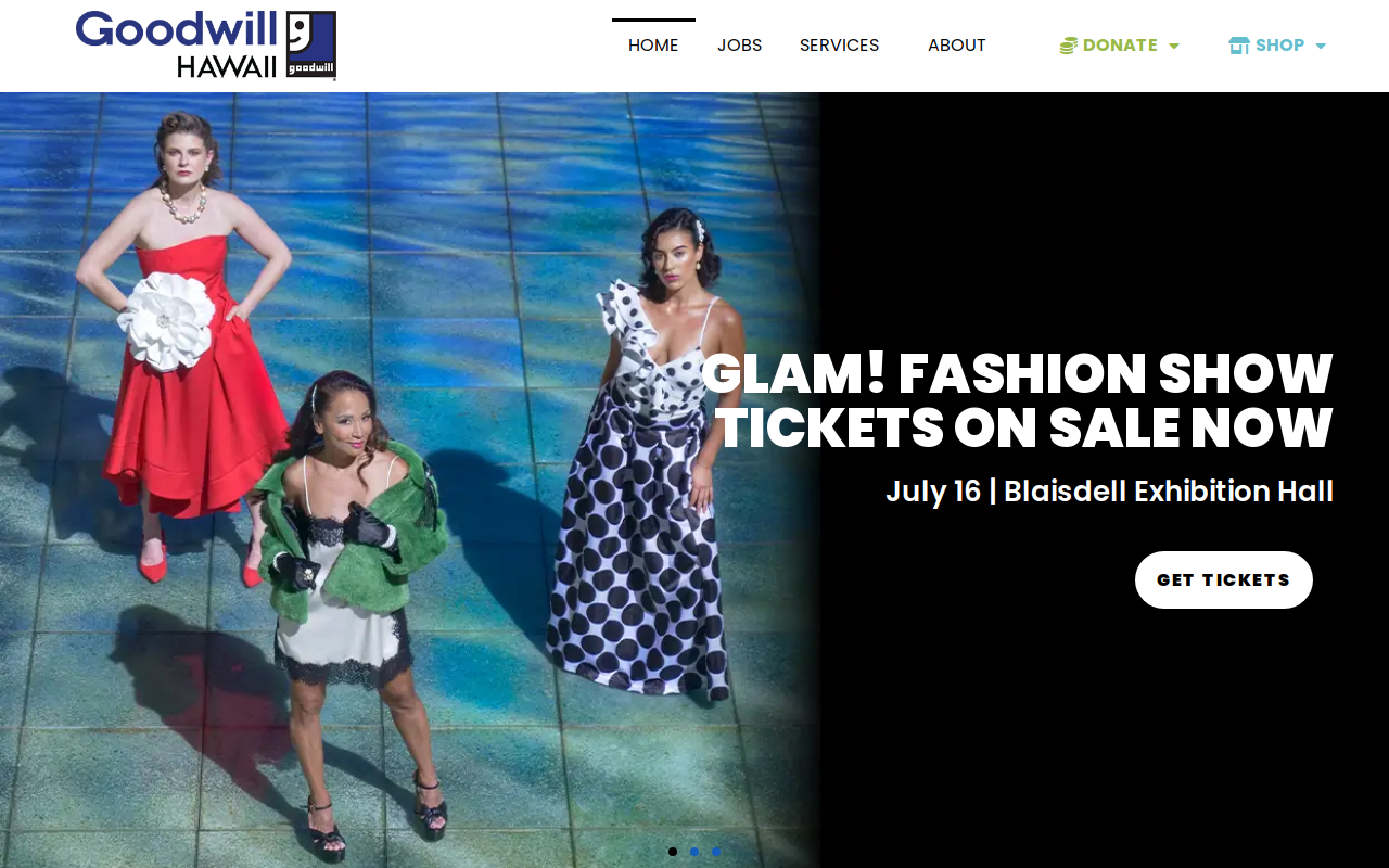 Goodwill website preview