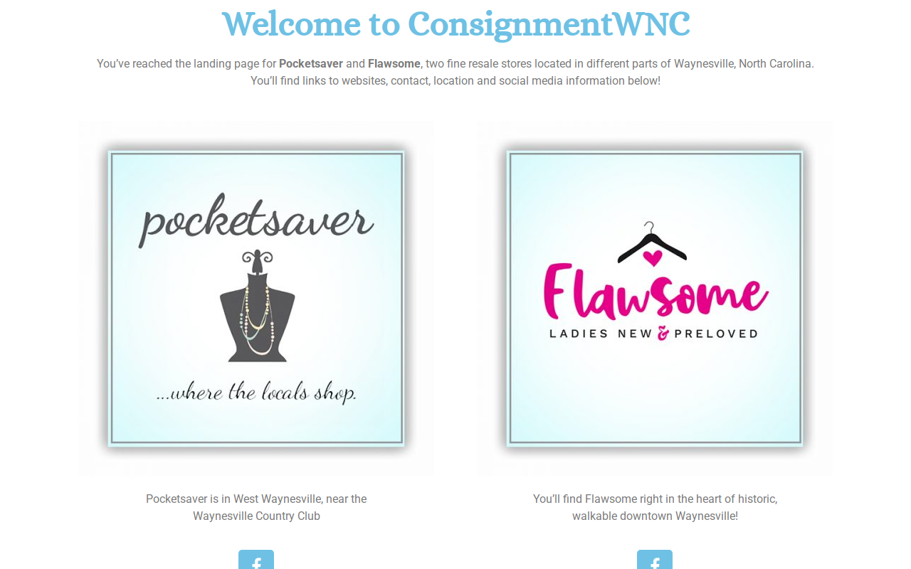 Flawsome website preview