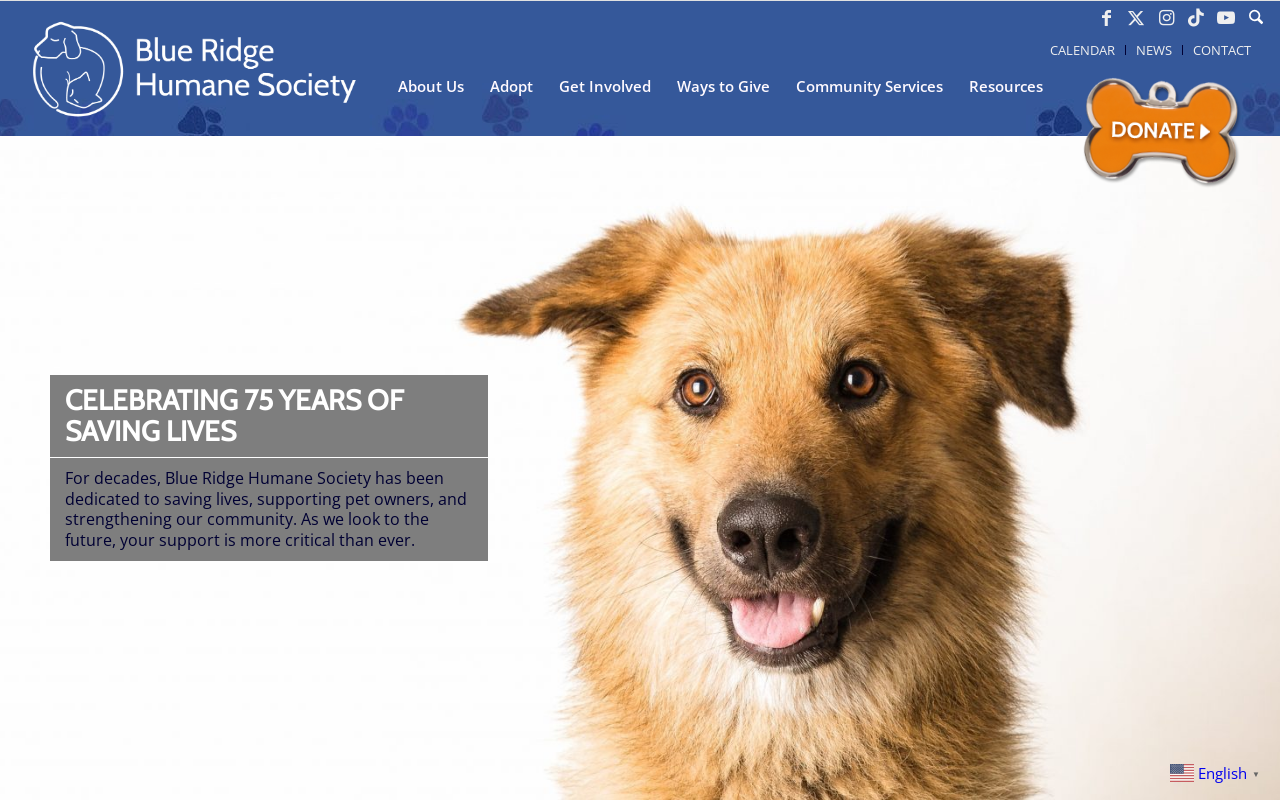 Blue Ridge Humane Society Thrift Store website preview