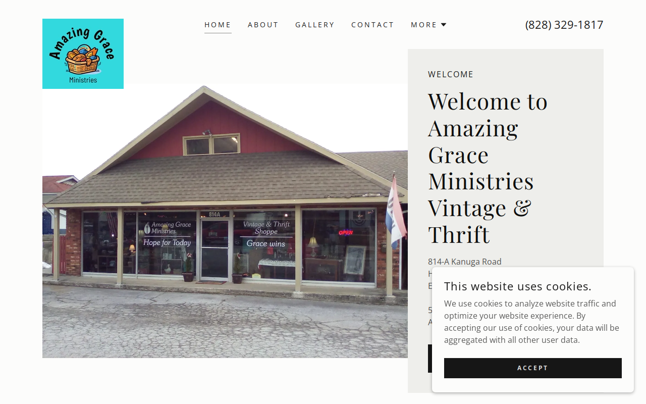 Amazing Grace Ministries Vintage and Thrift Shoppe website preview