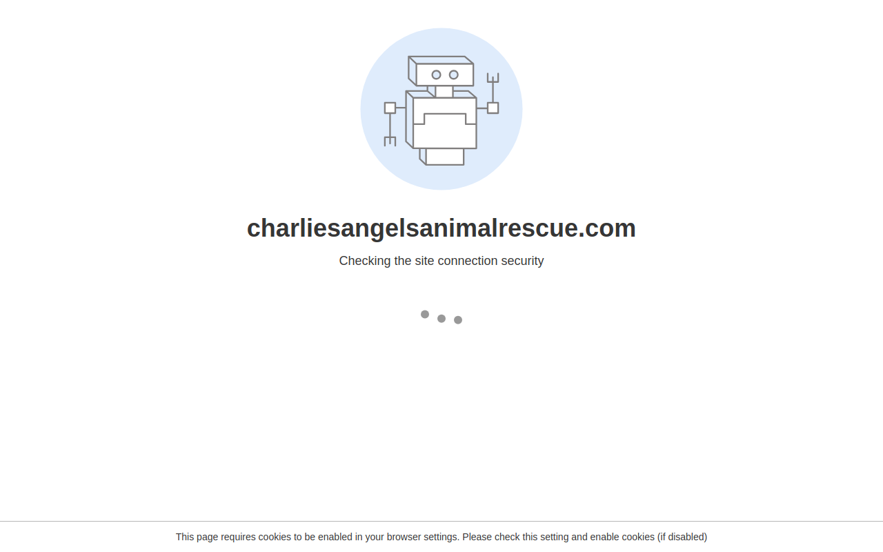 Charlie's Angels Animal Rescue Thrift Store website preview