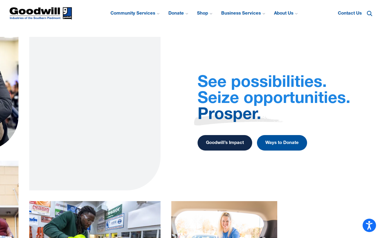 Goodwill website preview