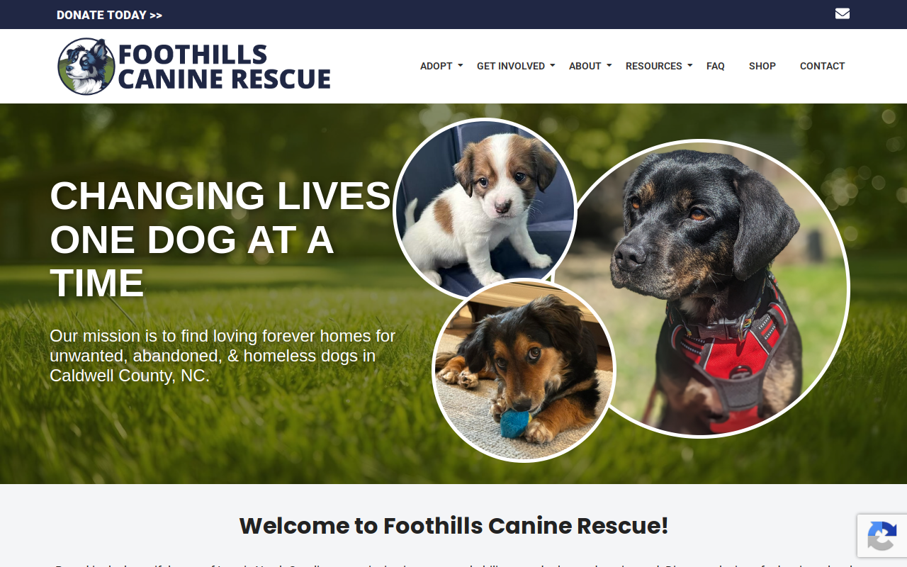 Waggin Tail Resale & Marketplace website preview