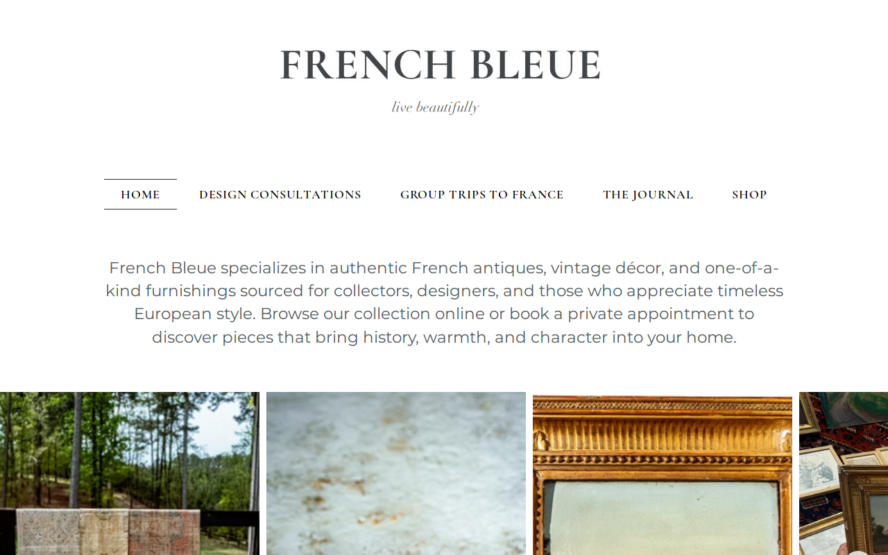 French Bleue website preview