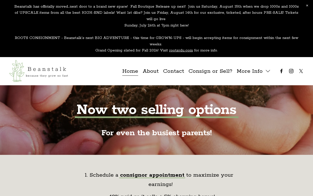 Beanstalk website preview