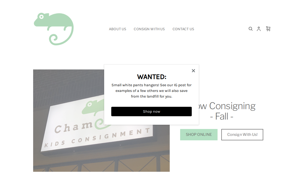 Chameleon Kids Consignment website preview