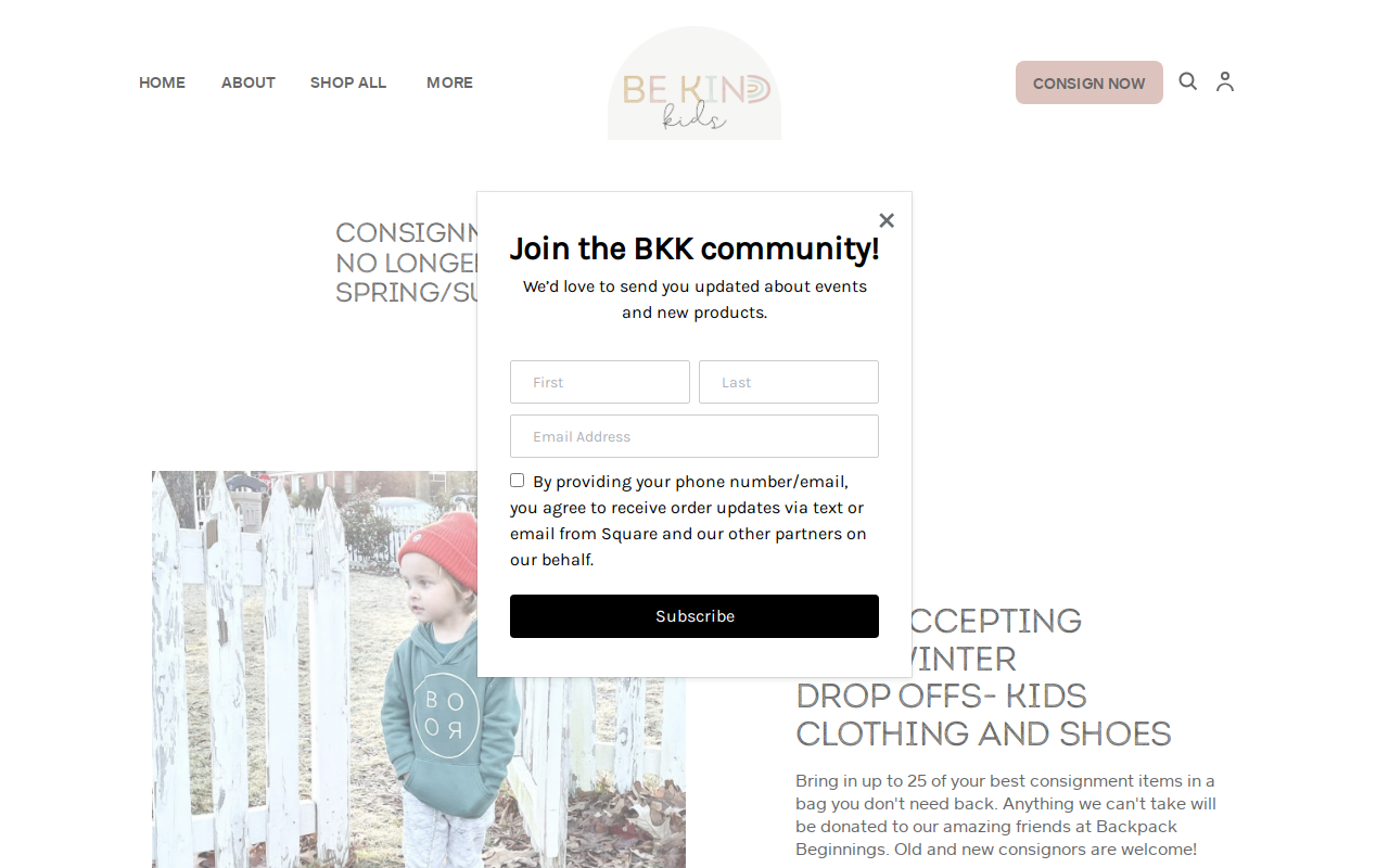 Be Kind Kids website preview