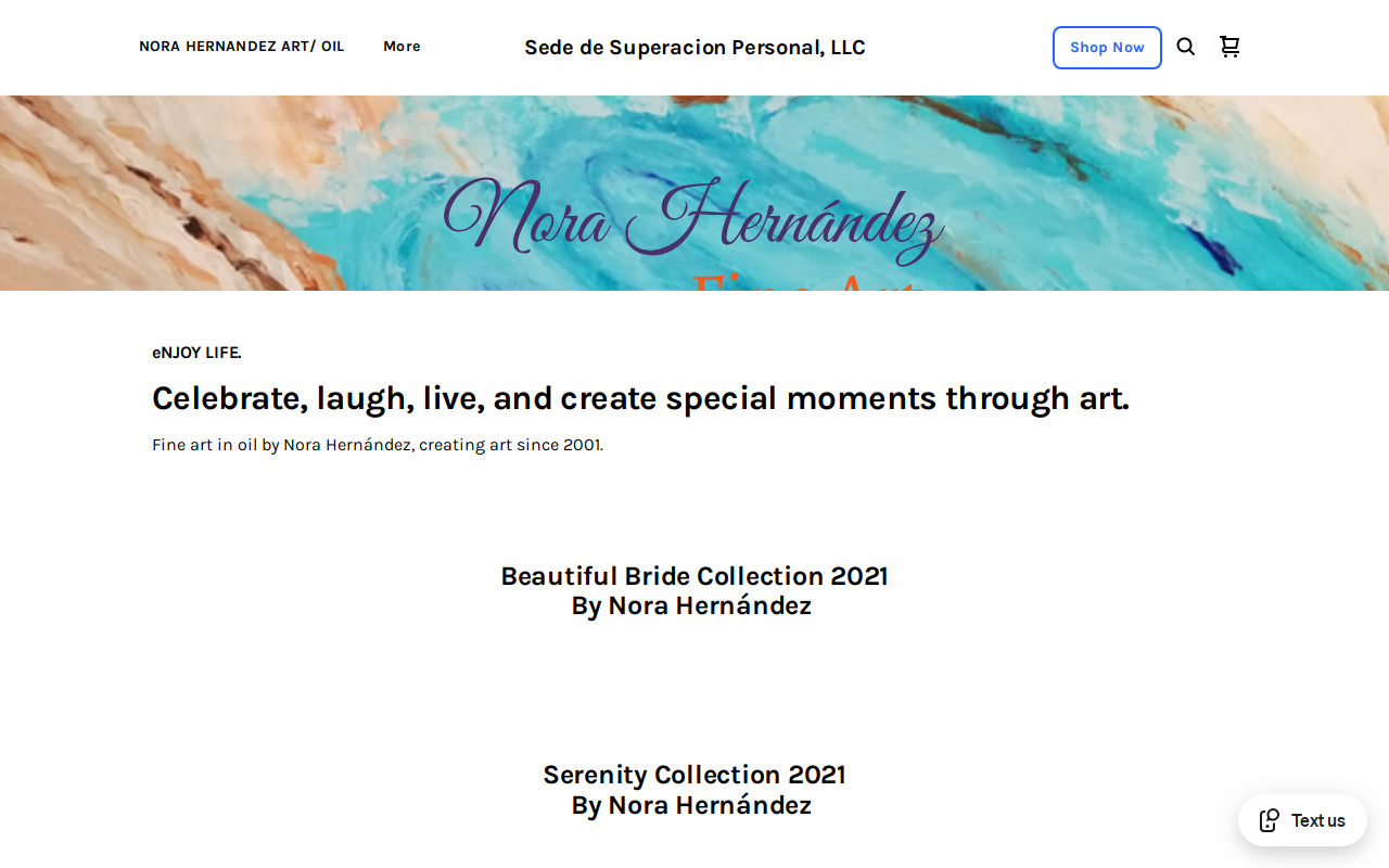 SSP website preview
