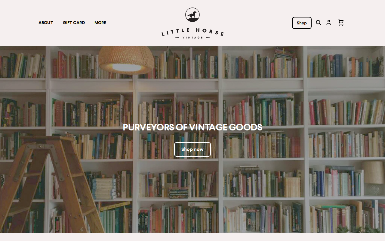 Little Horse 3 website preview