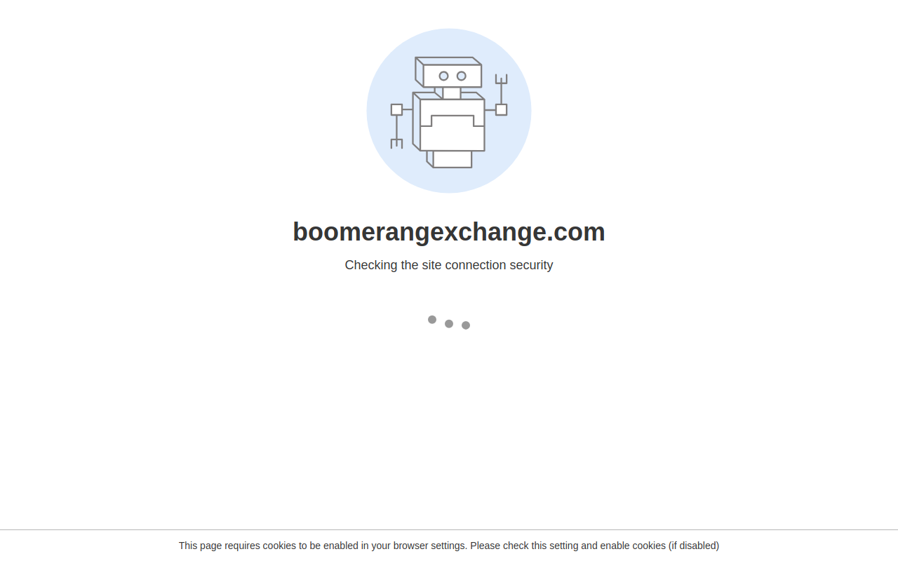 Boomerang Sports Exchange website preview