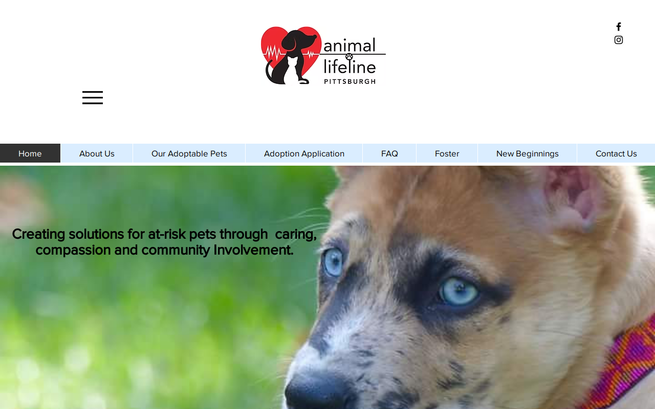 Animal Lifeline Pittsburgh Thrift Store website preview