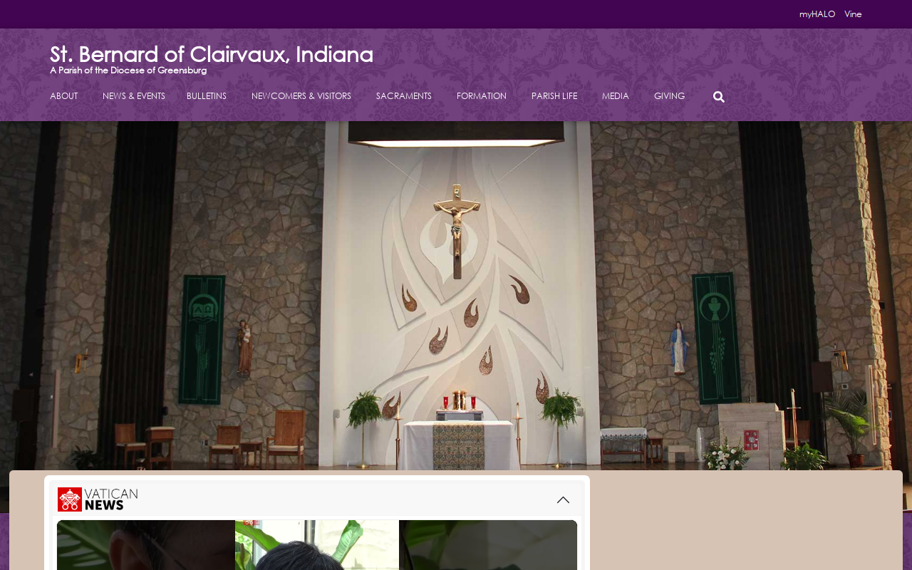 St Vincent de Paul Thrift Store website preview