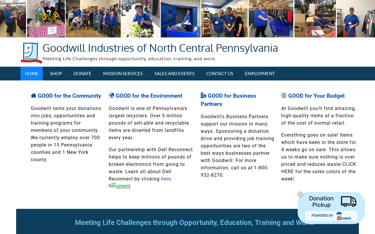 Goodwill website preview