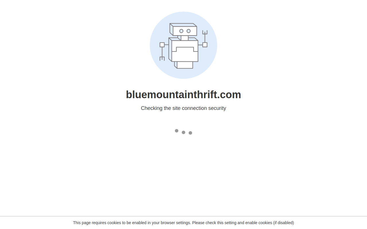 Blue Mountain Thrift Store website preview