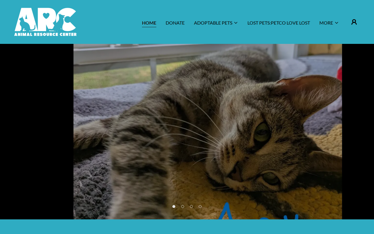 Animal Resource Center Yardsale website preview