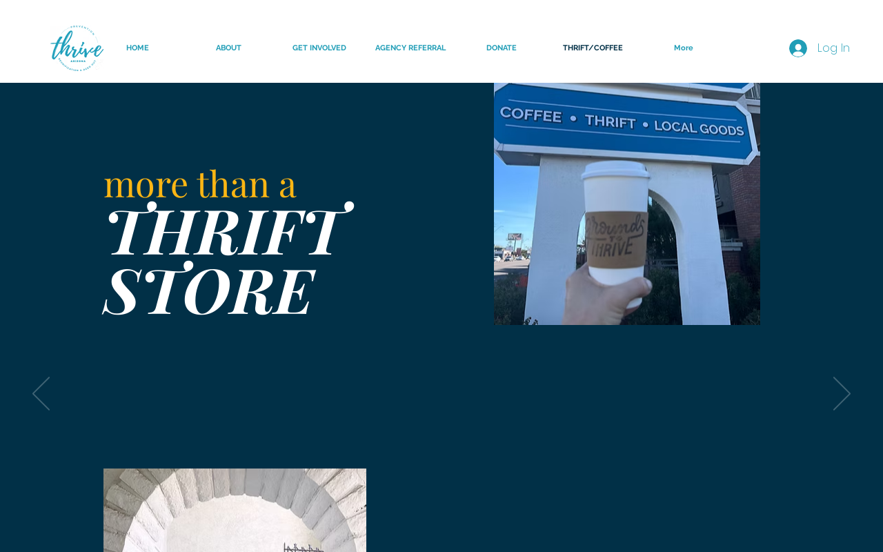 Thrift to Thrive website preview