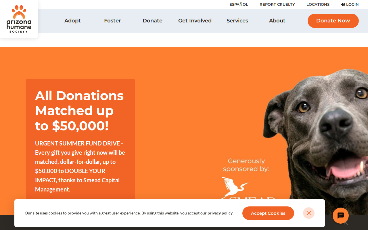 Arizona Humane Society Thrift Store website preview