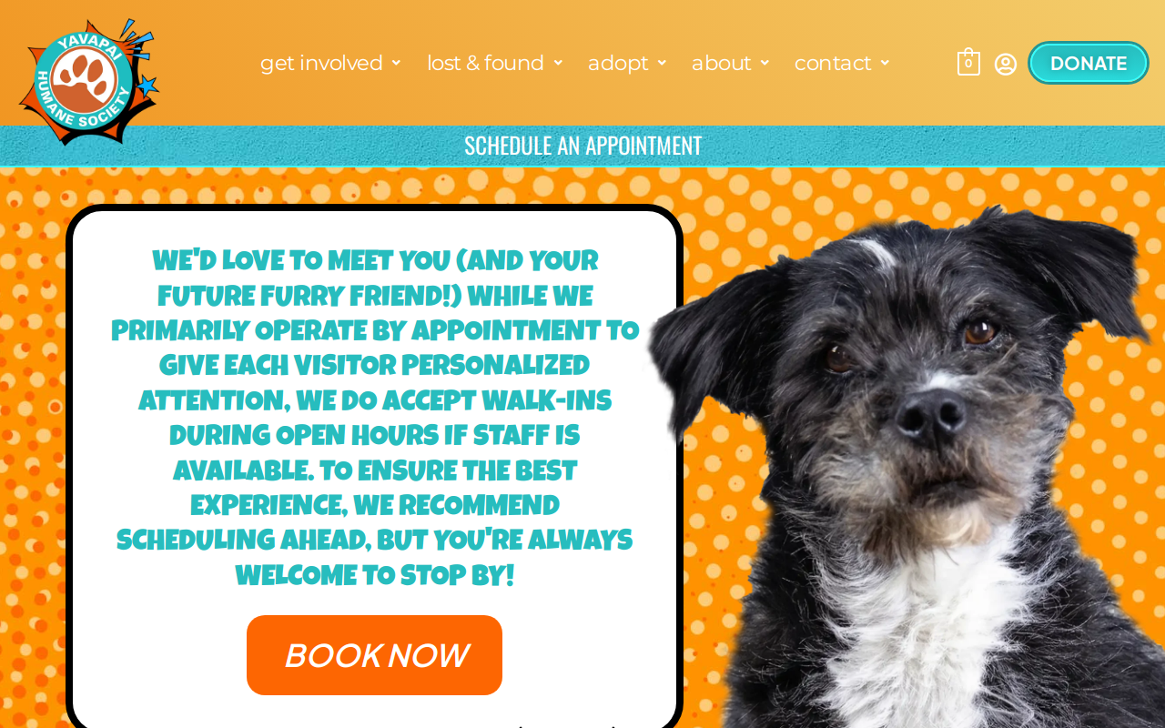Yavapai Humane Society Thrift Store website preview