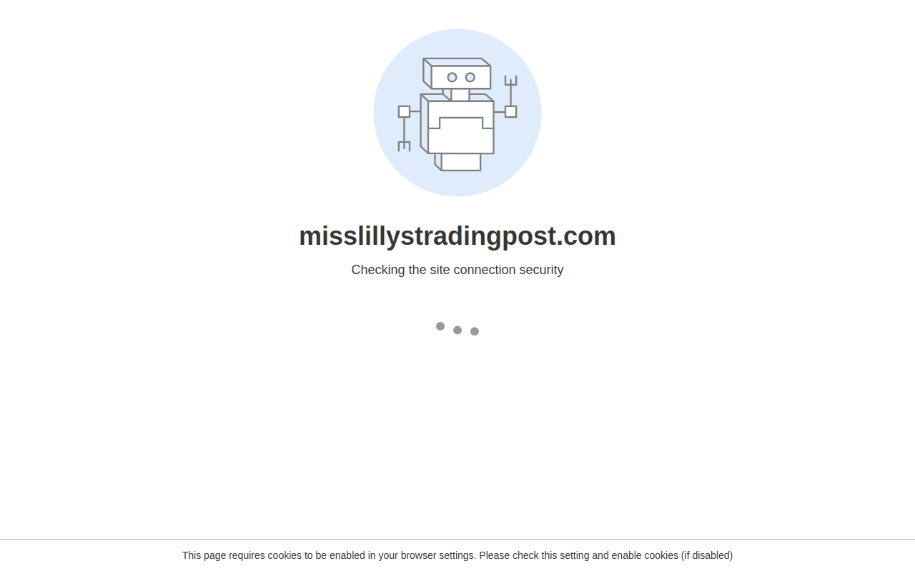Miss Lilly's Trading Post website preview
