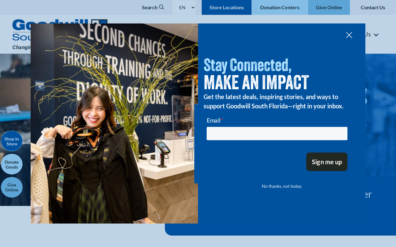 Goodwill website preview