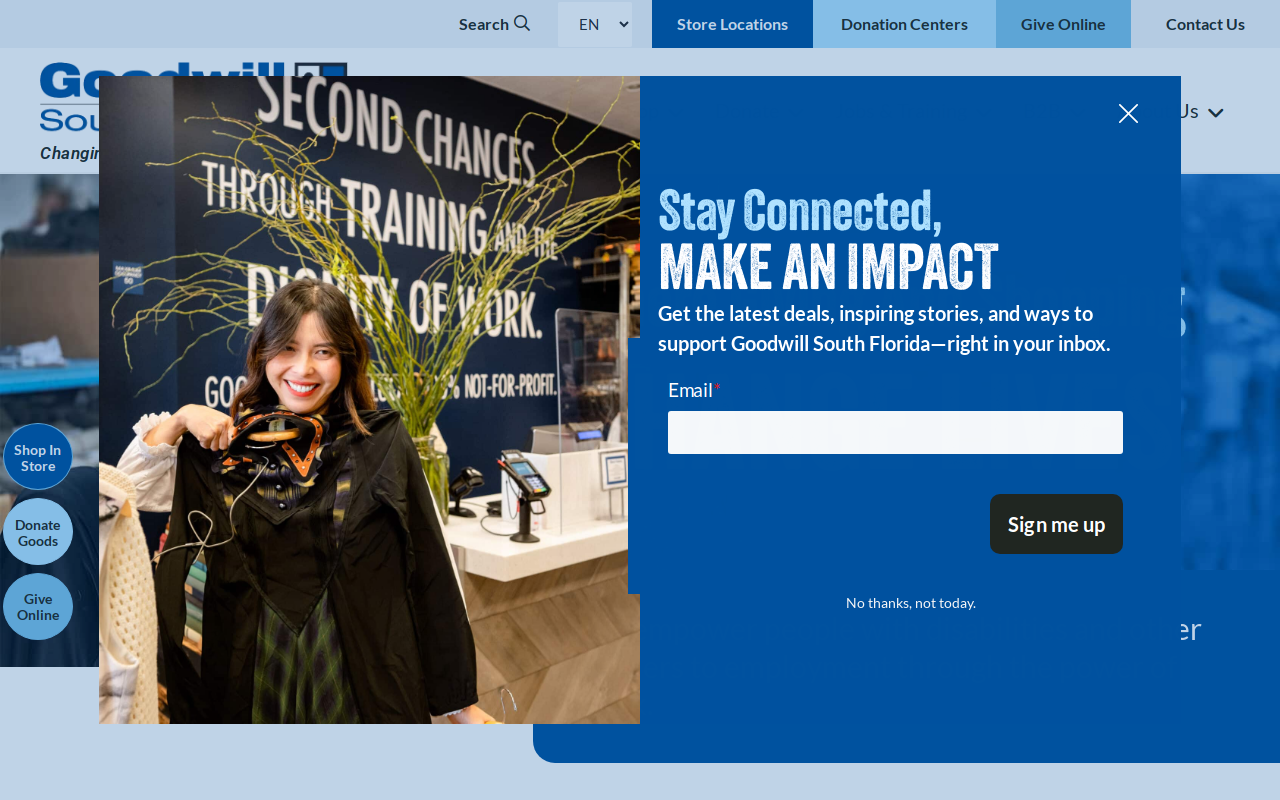 Goodwill website preview