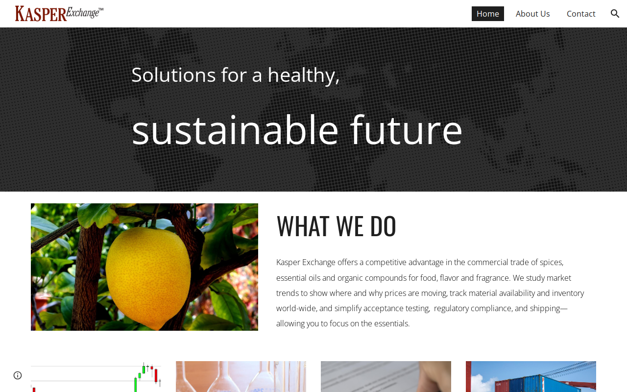 Kasper Exchange, LLC website preview