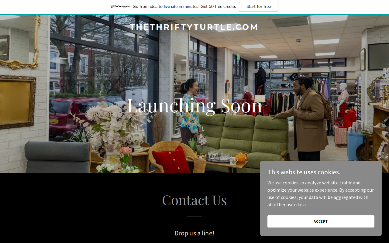 The Thrifty Turtle website preview
