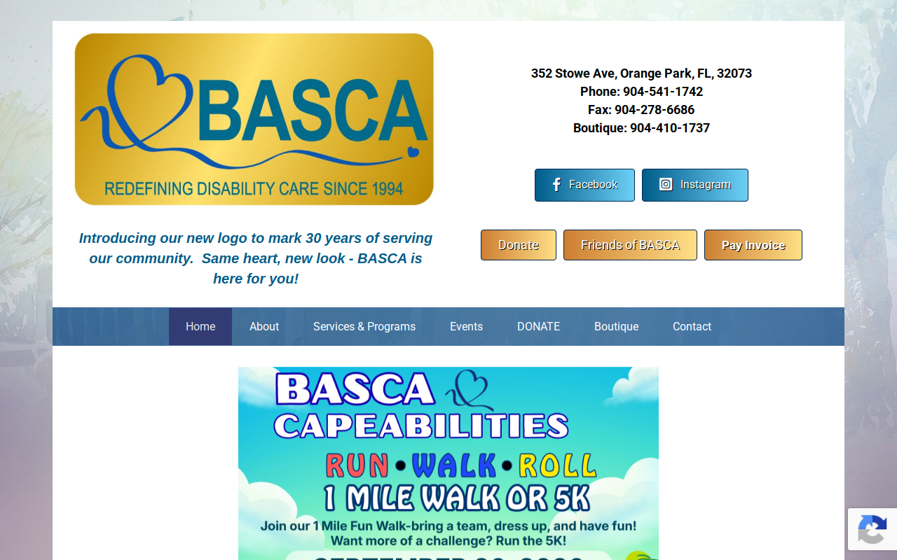 BASCA Bargain Boutique website preview