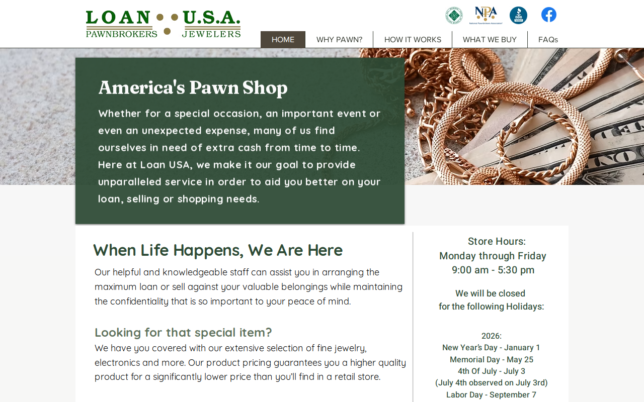 Loan USA website preview