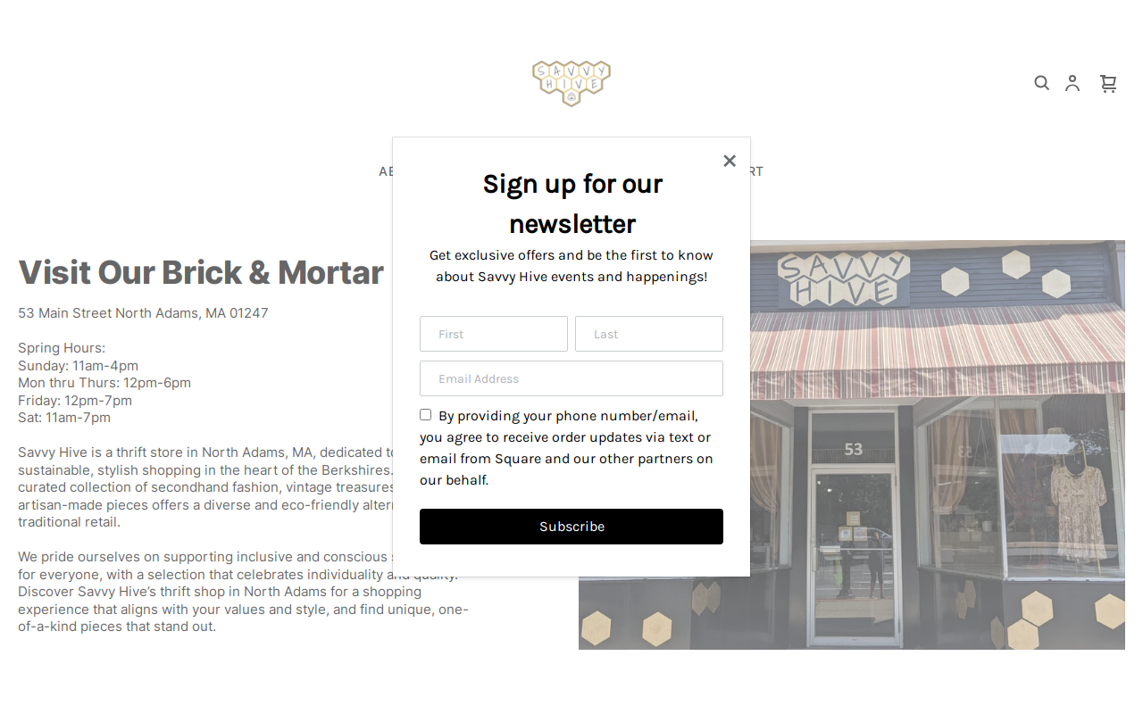 Savvy Hive website preview