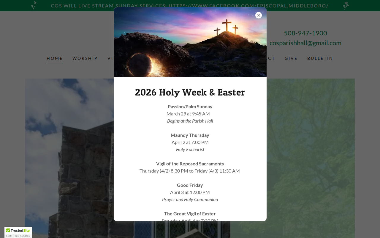Nearly New Shop website preview