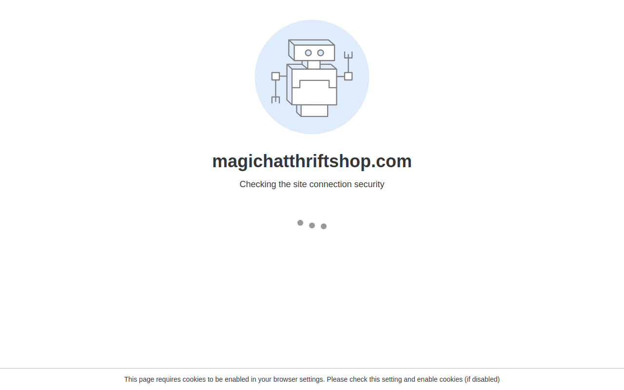 Magic Hat Thrift Shop website preview
