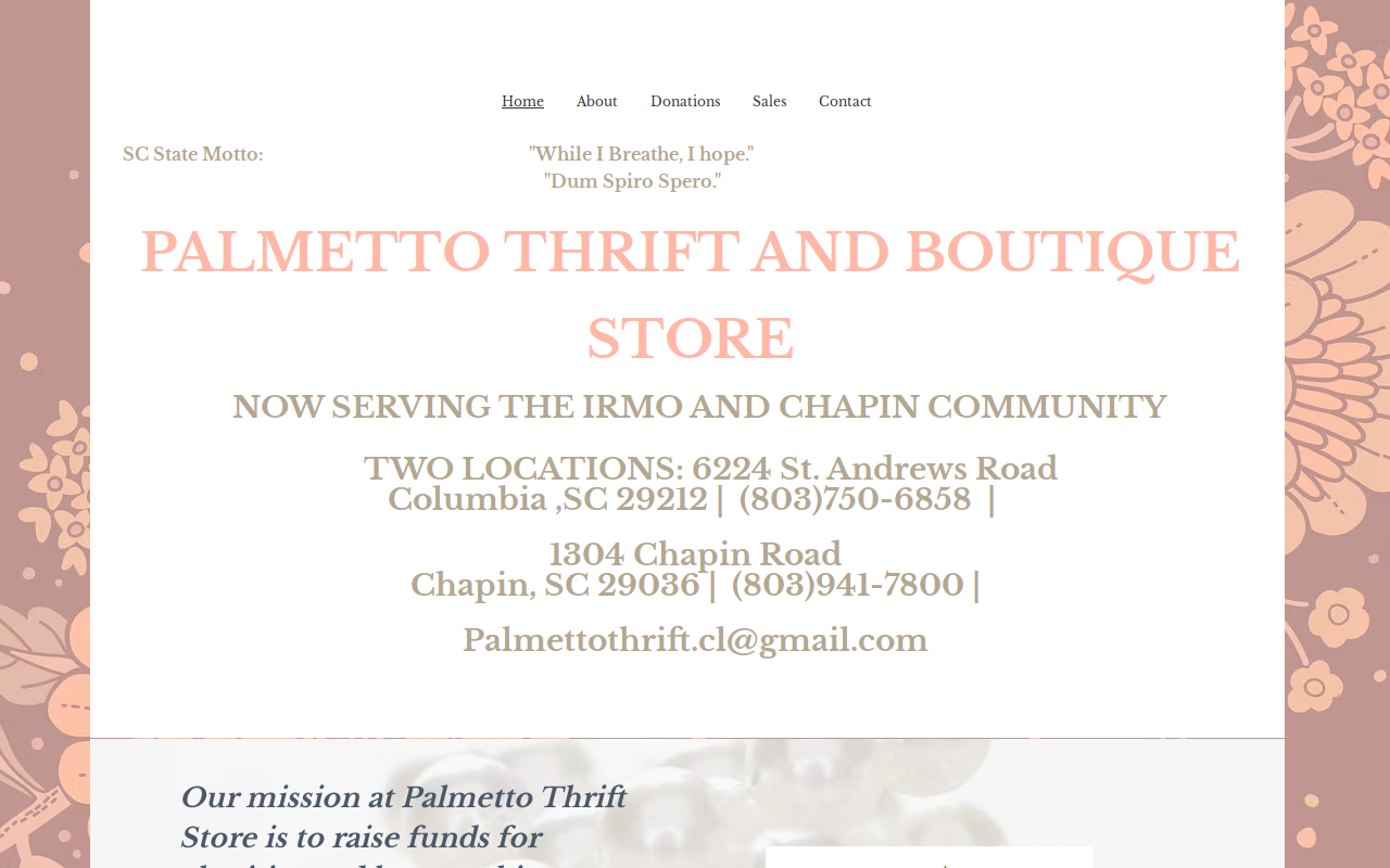 Palmetto Thrift Store website preview