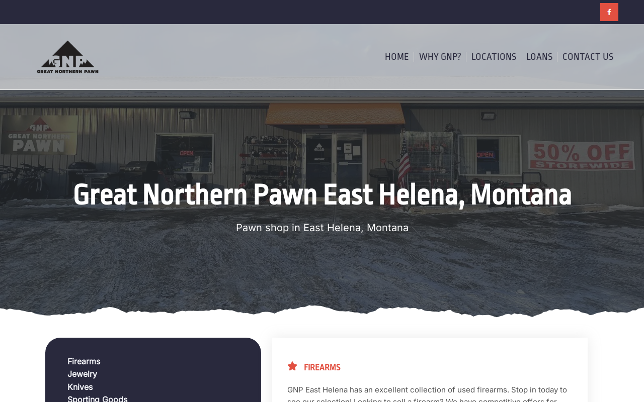 Great Northern Pawn website preview