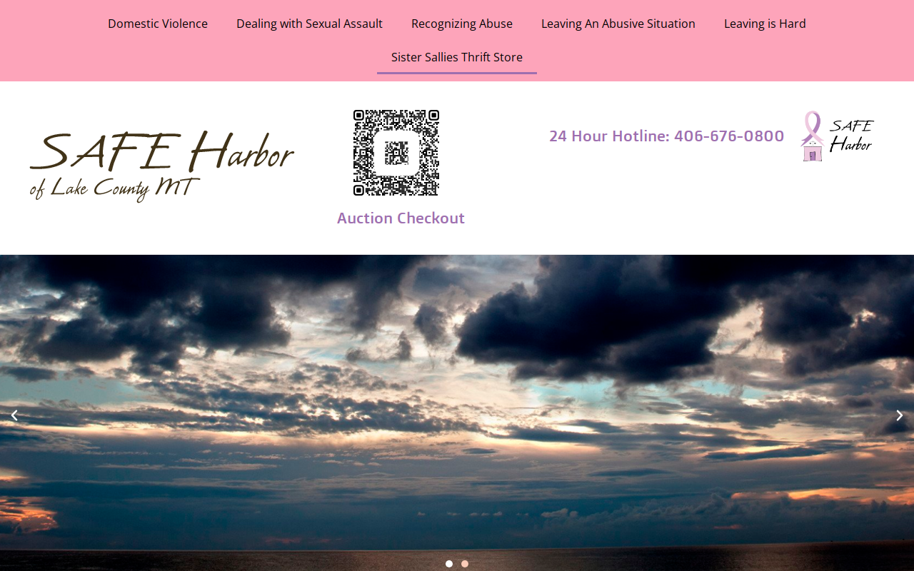 Sister Sallies Thrift Store website preview